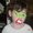 Photo of Adam S.