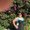 Photo of Ericka D.