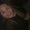 Photo of Gissel R.