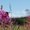 Photo of Qype User (Natali…)