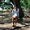 Photo of Kristy T.