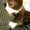 Photo of Veronica E.