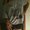 Photo of Meneisha B.