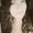 Photo of Rebecca R.