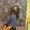 Photo of Kimberly Caye A.