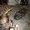 Photo of Boulder Bronze Repair B.