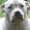 Photo of Addie M.