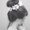 Photo of Nancy L.