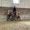 Photo of Western vibes S.