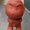 Photo of Mr. M.