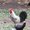 Photo of Bogs M.