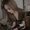Photo of Jackie Z.