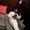 Photo of Amir J.