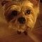 Kaylyn L. profile picture