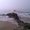 Photo of S A.