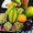 Photo of Jenny M.