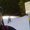 Photo of Qype User (web_fr…)