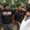 Photo of Apurva S.