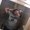 Photo of Destiny J.