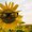 Photo of Kelly R.