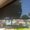 Photo of Steve D.