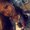 Photo of Tashara C.