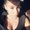 Photo of Vane G.