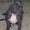 Photo of Bubba G.