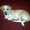 Photo of Melisa R.