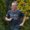 Photo of Steve H.