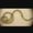 Photo of Helene's Tape Worm -.