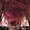Photo of Qype User (Kisay…)
