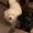 Photo of Franciene B.