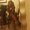 Photo of Lisandra R.