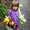 Photo of Michelle M.