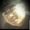 Photo of Tuan M. T.