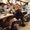 Photo of Colleen S.