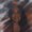Photo of Adriana O.