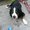 Photo of Poopie M.