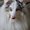 Photo of Qype User (denise…)