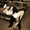 Photo of Wendi T.
