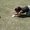 Photo of Caren J.
