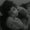 Photo of Celeste A.