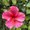 Photo of Scott W.