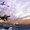 Photo of Christy T.