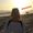 Photo of Melissa N.