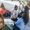 Photo of Doris Cariana M.