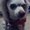 Photo of Zmom R.