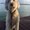 Photo of Viri P.
