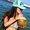 Photo of Emely G.